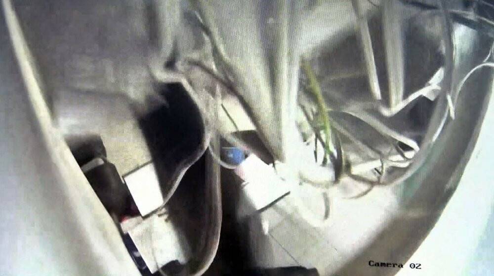 Obez kedi asma tavanı çökertti