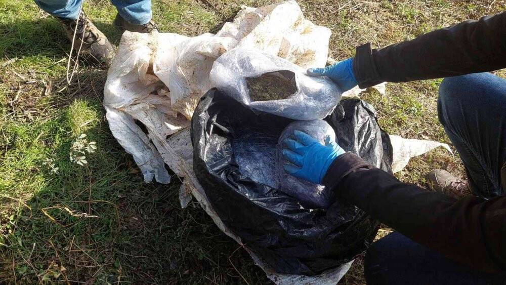 Tekirdağ'da bir köyden adeta esrar fışkırdı