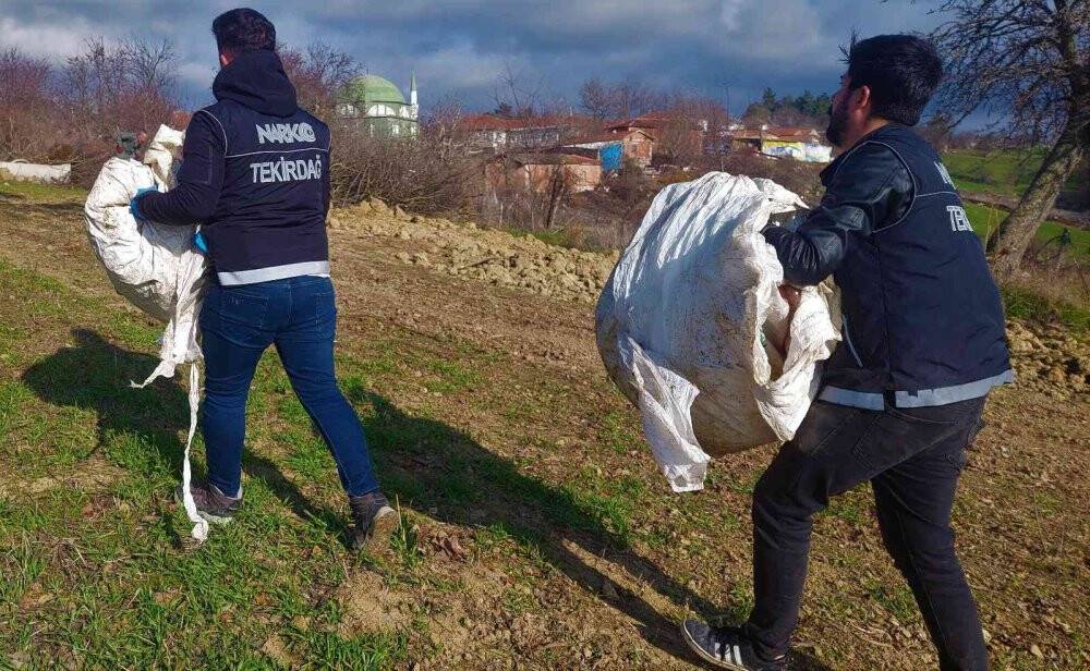 Tekirdağ'da bir köyden adeta esrar fışkırdı