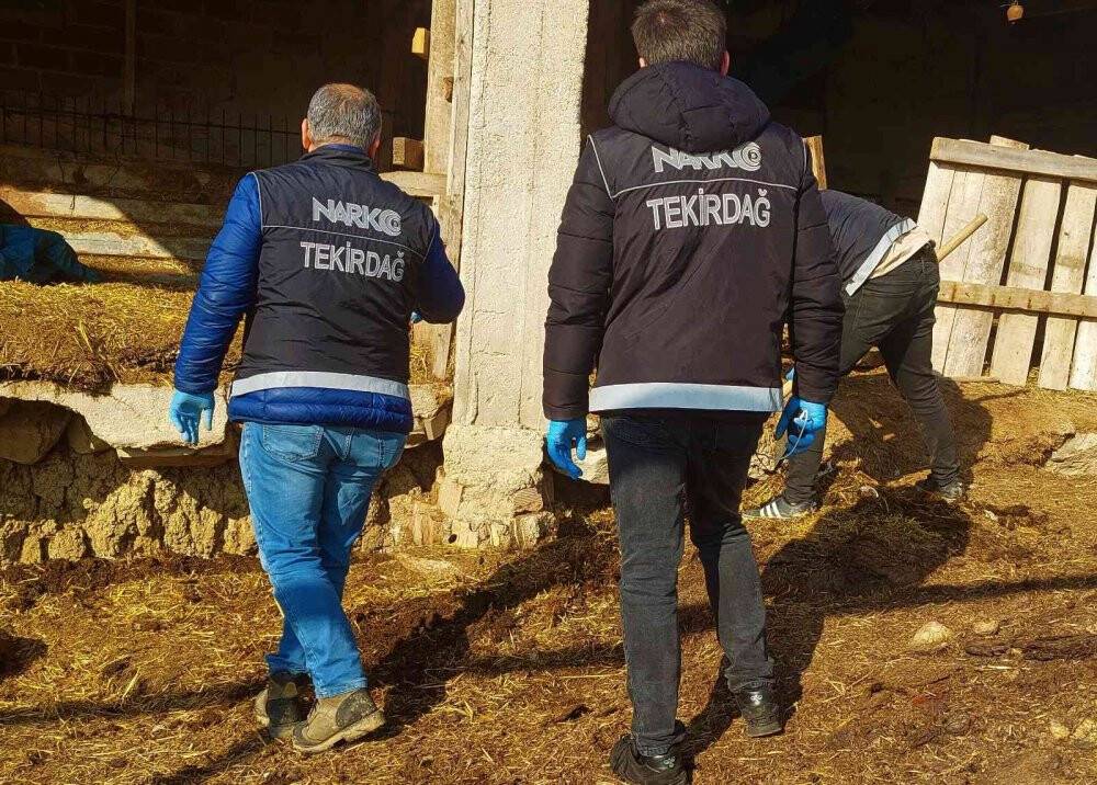 Tekirdağ'da bir köyden adeta esrar fışkırdı