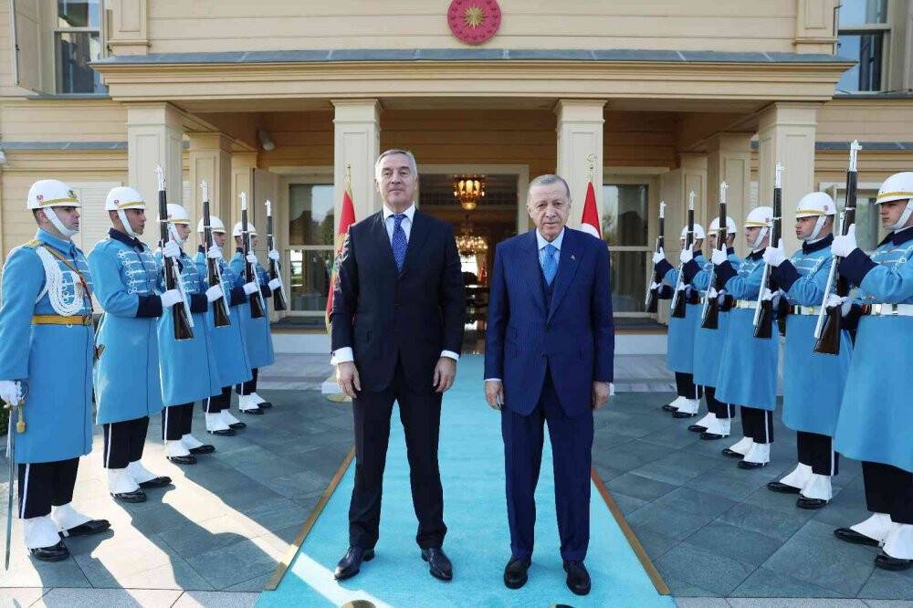 Cumhurbaşkanı Erdoğan, Cukanoviç görüştü