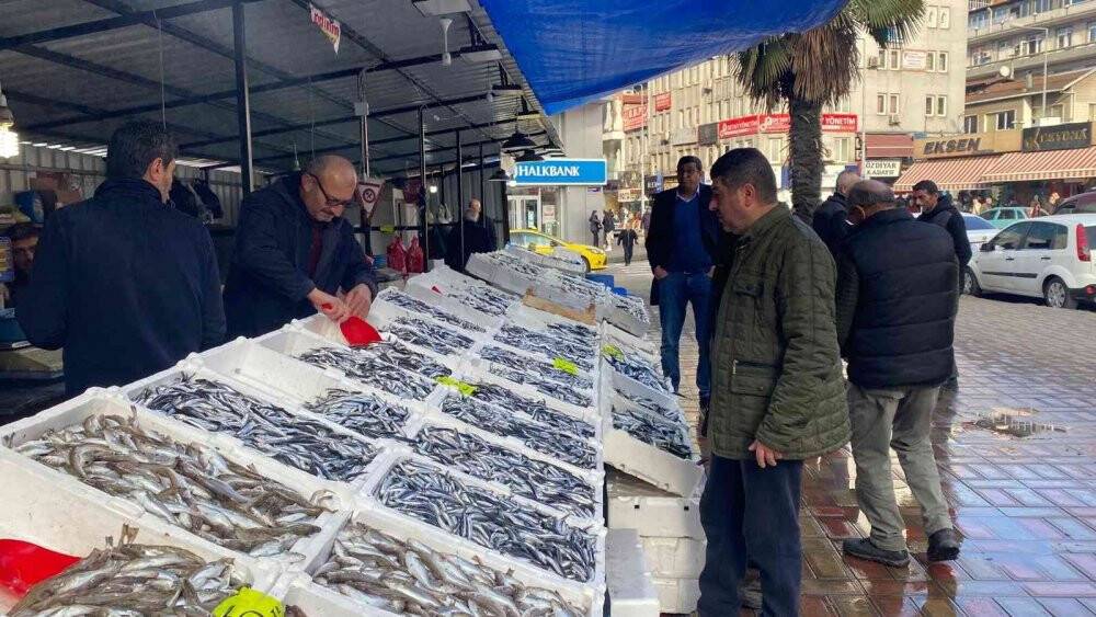 Zonguldak’ta hamsi bereketi