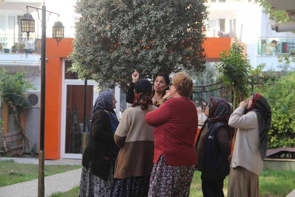 Antalya'da kedisi yangında ölen, genç kız gözyaşlarına boğuldu