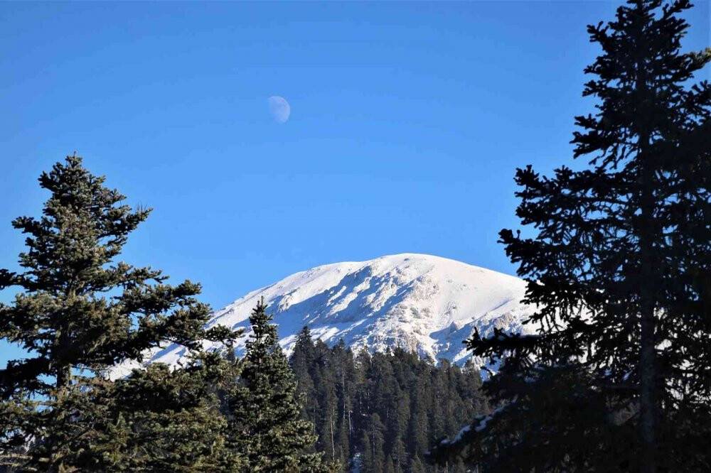 Ilgaz Dağı’nda iç ferahlatan kar manzarası