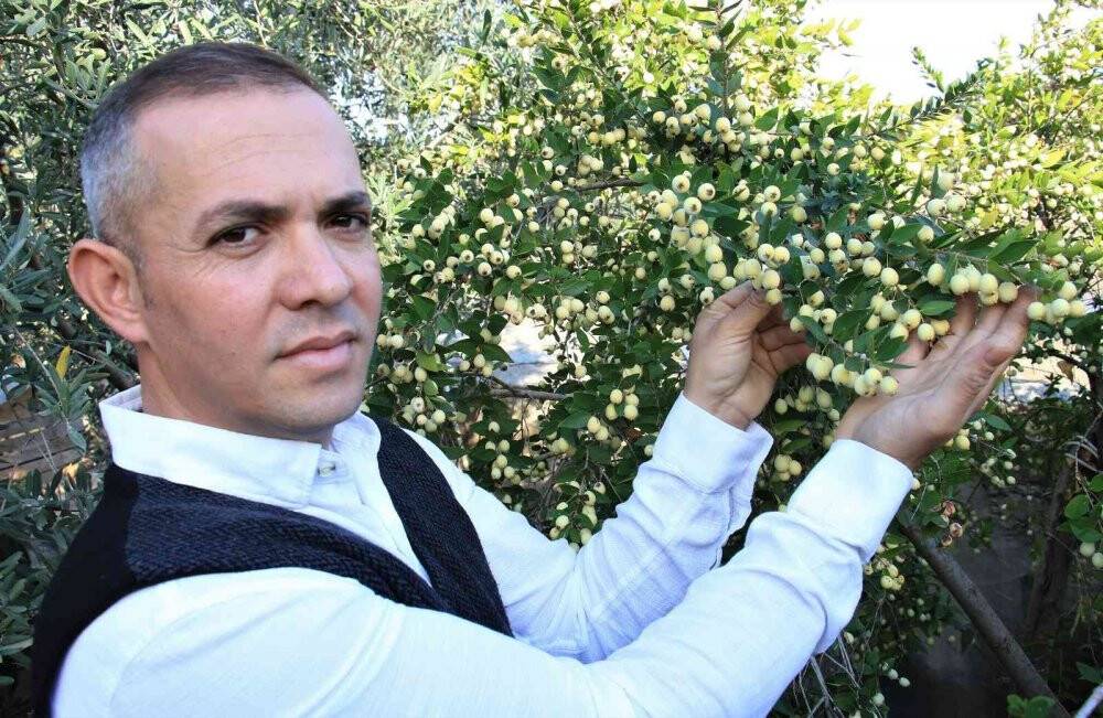 Mersin'de yetişen o meyve tam bir şifa deposu