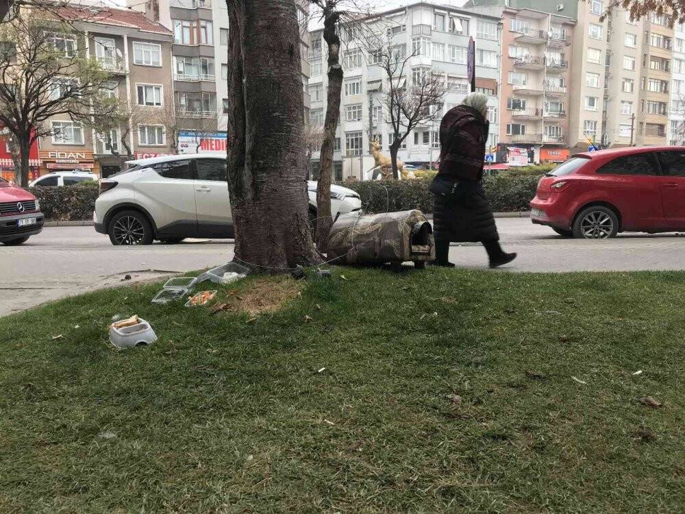 Eskişehir'de hayvan kulübesini çalınmaması için çelik telle ağaca bağlandılar