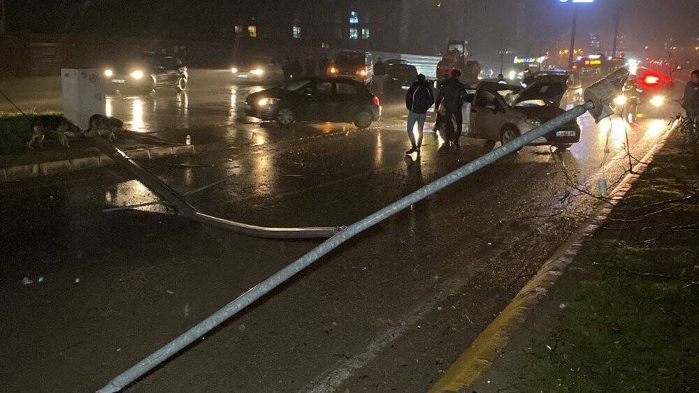 Kocaeli’de otomobil elektrik direği ve ağaçları devirdi