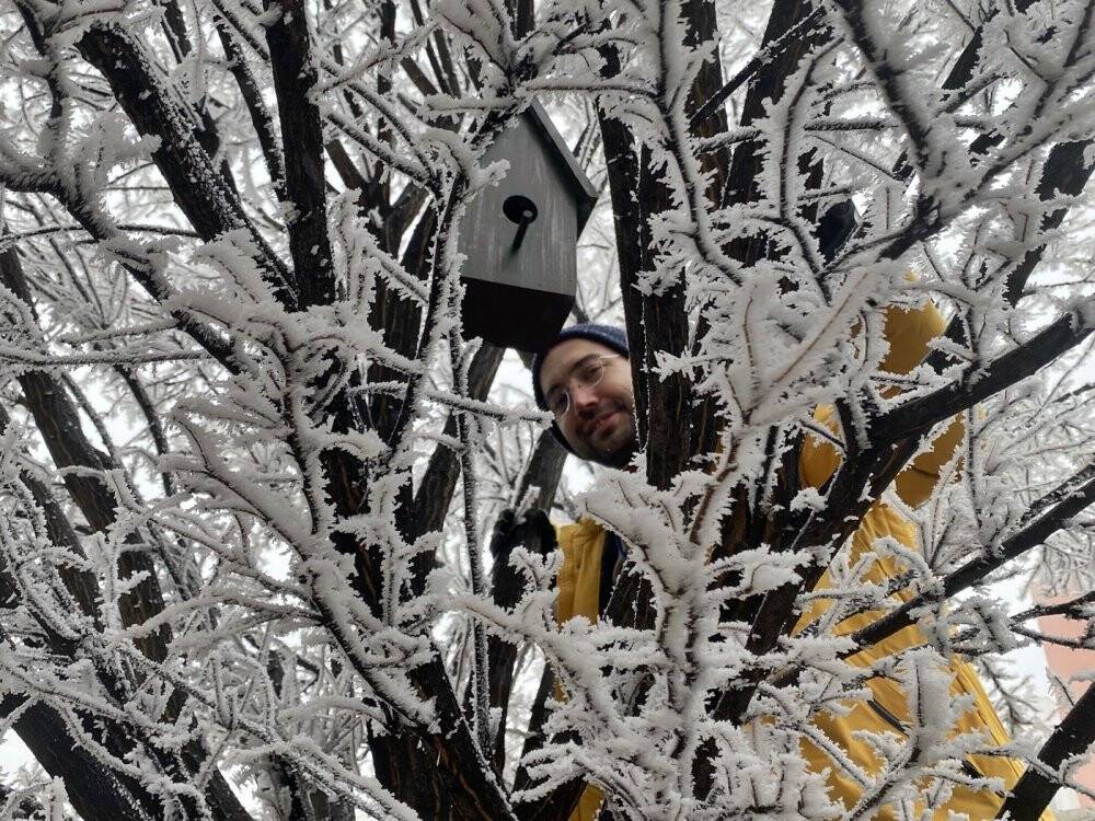 Çankırı'da üniversite öğrencileri kampüsü kuş evleriyle donattı