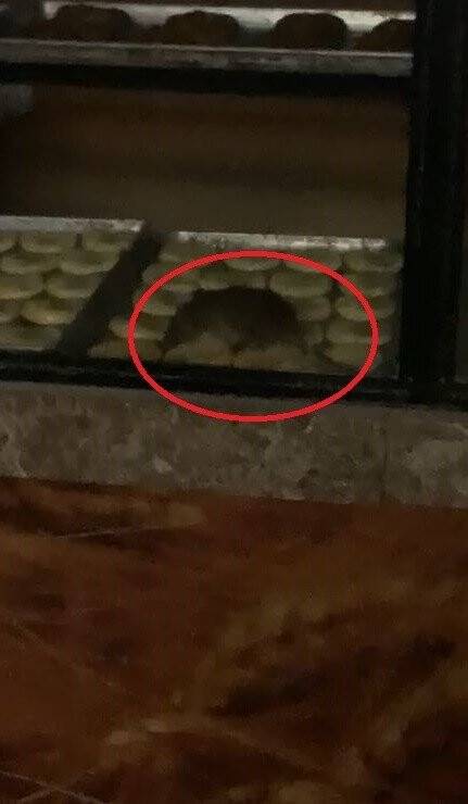 Tekirdağ'da vitrininde fare gezen işletme mühürlendi