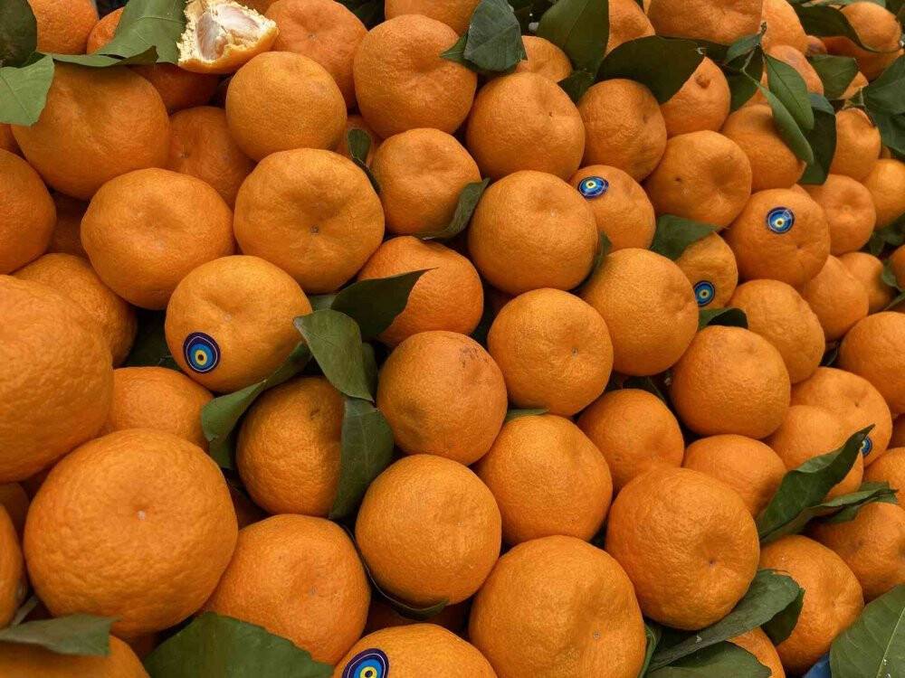 Uzmanlardan çocukların bağışıklıklarını güçlendirmek için tavsiyeler