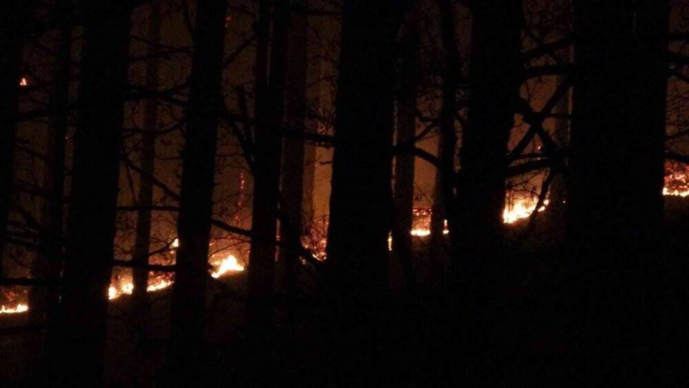Kaz Dağları’nda ormanlık alanda yangın çıktı
