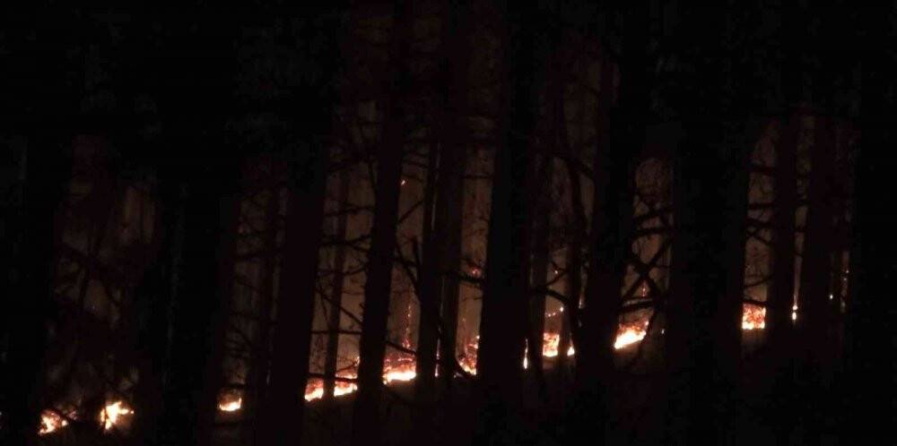Kaz Dağları’nda ormanlık alanda yangın çıktı