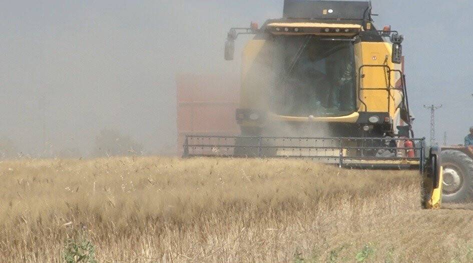 "Konya Ovasında yağışlar çok ciddi miktarda düştü"