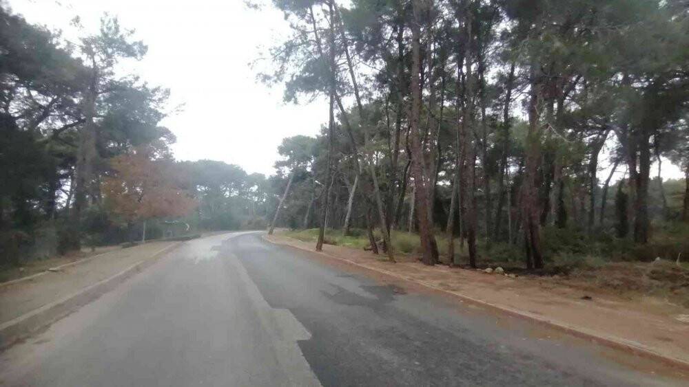 Sorgun Çamlığı’nda çıkan orman yangını korkuttu