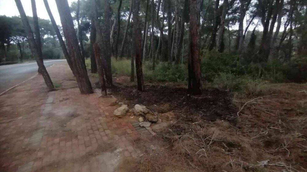 Sorgun Çamlığı’nda çıkan orman yangını korkuttu