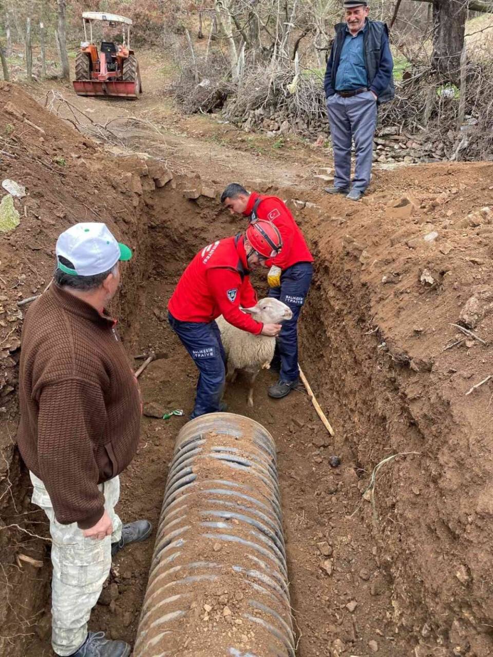 Balıkesir'de boruya sıkışan koyun itfaiye tarafından kurtarıldı