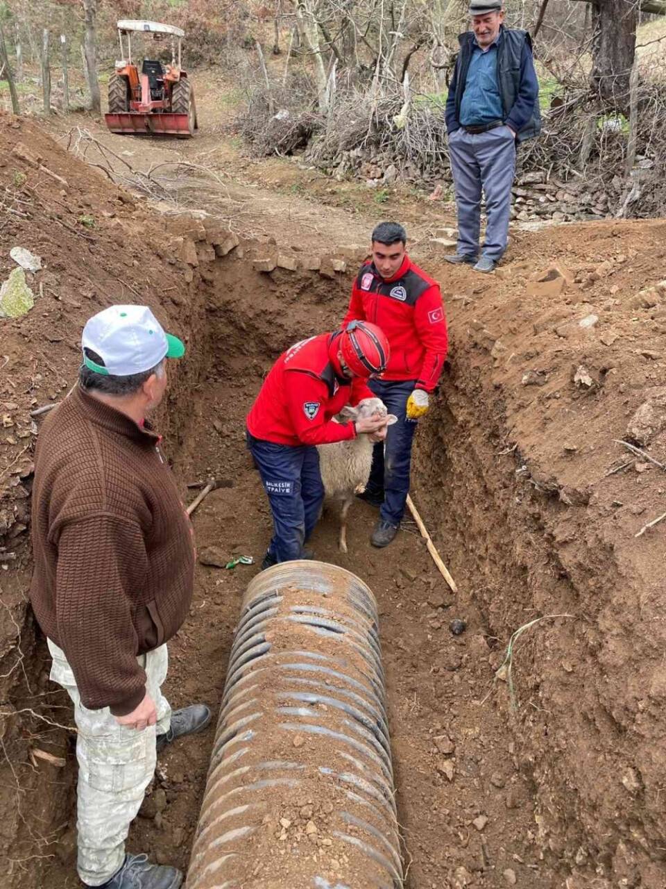 Balıkesir'de boruya sıkışan koyun itfaiye tarafından kurtarıldı