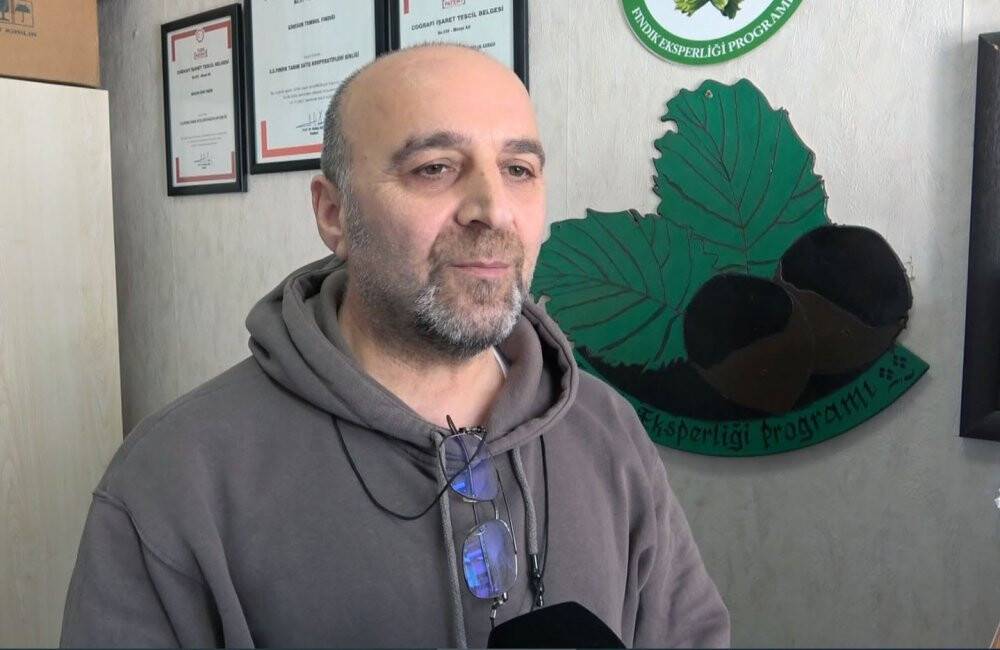 Bu uygulamalar fındıkta verim ve kaliteyi düşürüyor