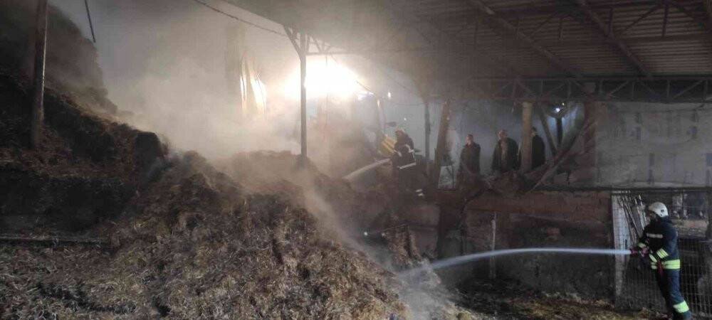 İçinde saman balyası bulunan çiftlikte yangın çıktı, hayvanlar telef oldu