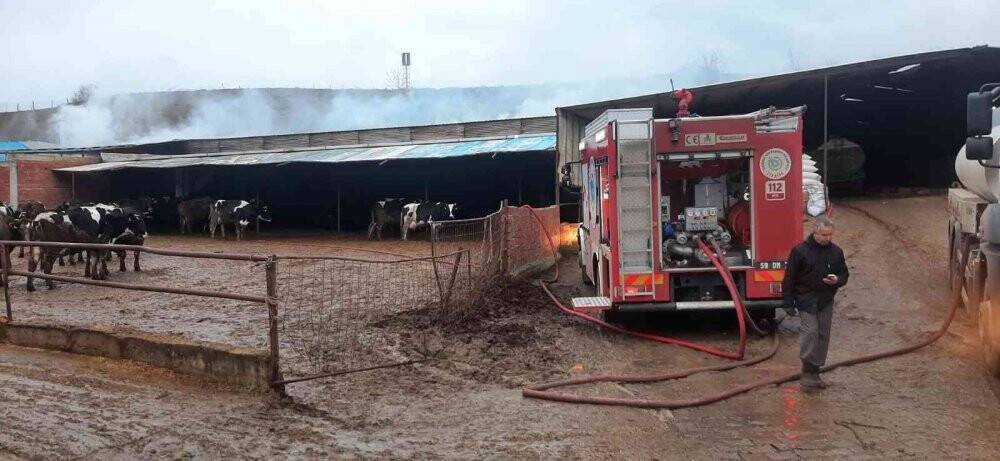 İçinde saman balyası bulunan çiftlikte yangın çıktı, hayvanlar telef oldu