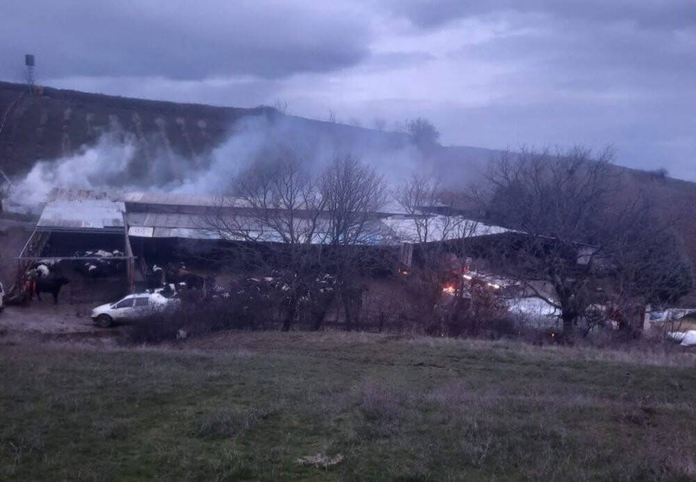 İçinde saman balyası bulunan çiftlikte yangın çıktı, hayvanlar telef oldu