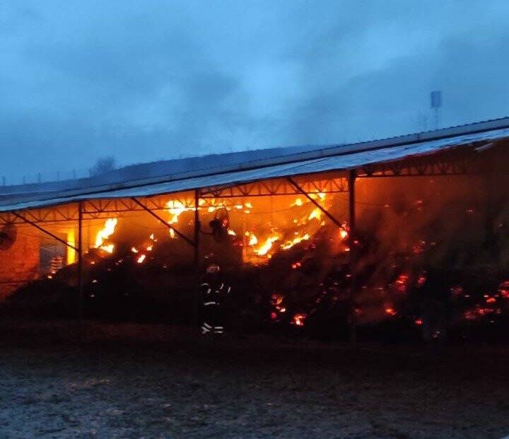 İçinde saman balyası bulunan çiftlikte yangın çıktı, hayvanlar telef oldu