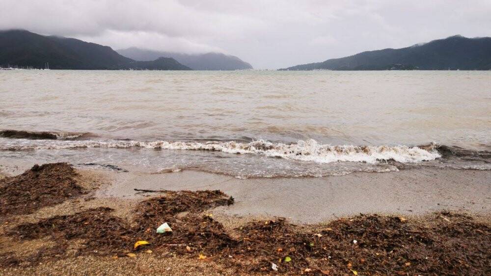 Marmaris’te denizin rengi kahverengiye döndü