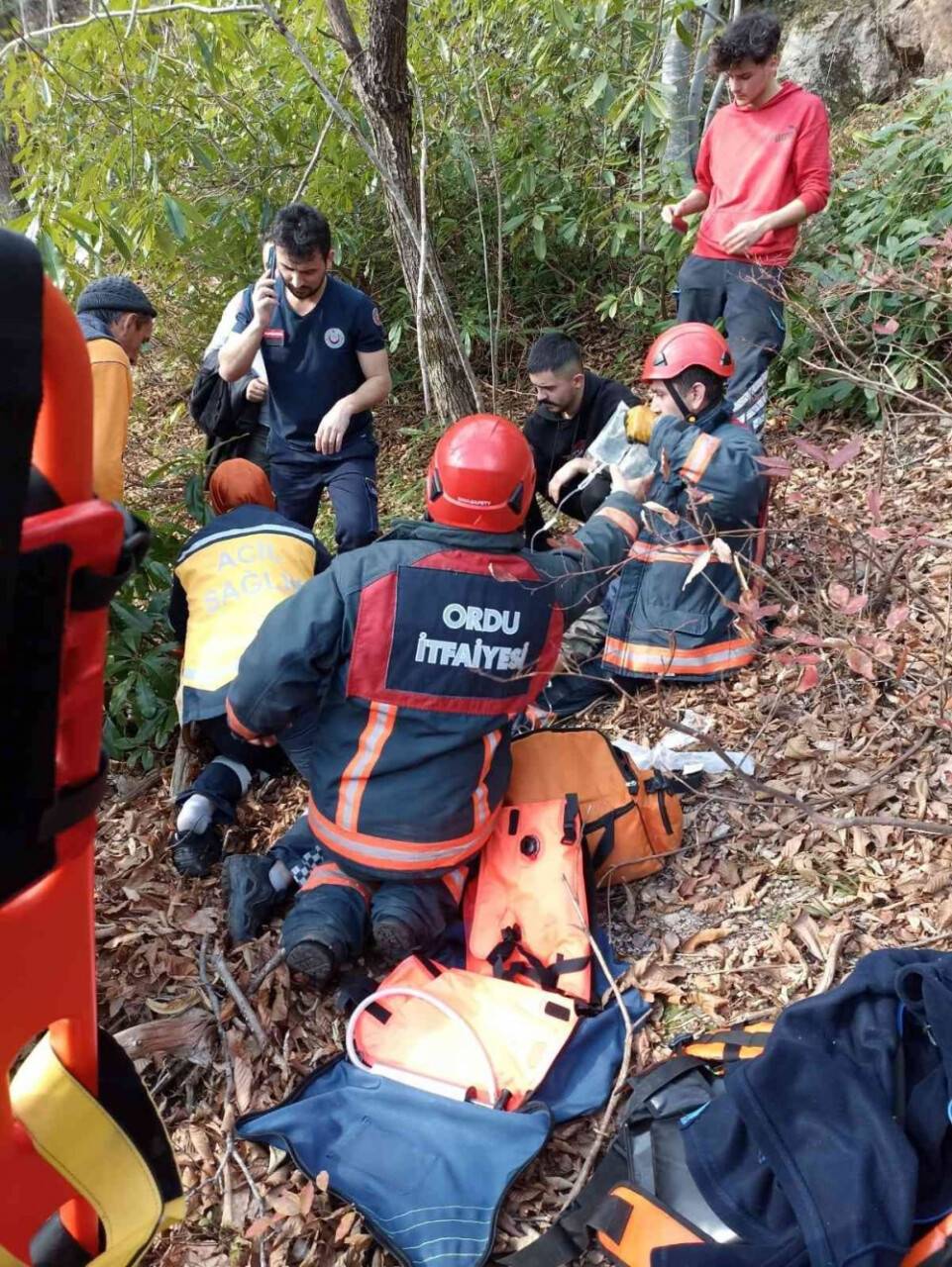 2 kişi kestiği ağacın altında kaldı