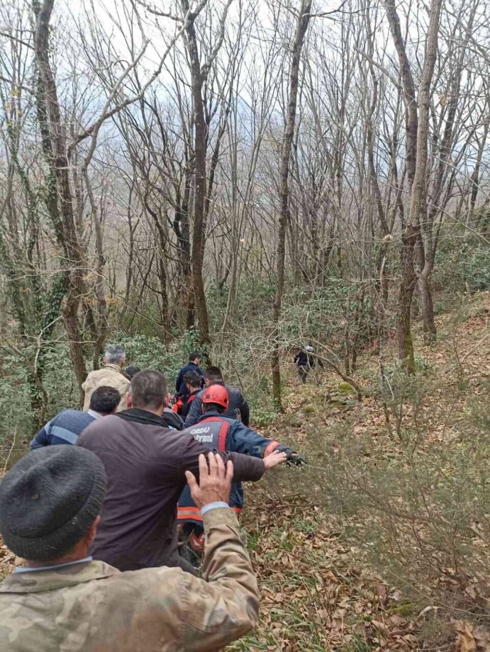 2 kişi kestiği ağacın altında kaldı