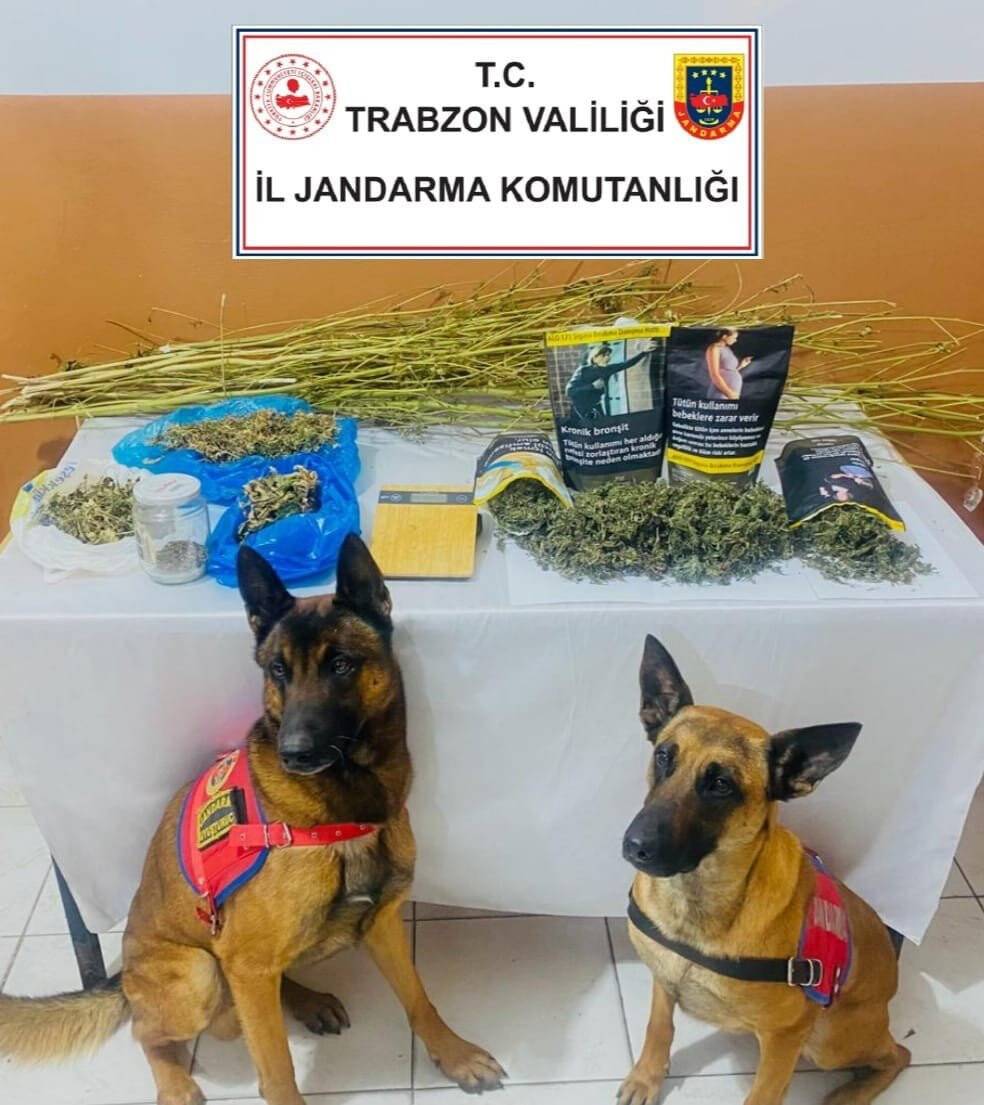 Zehir taciri kardeşler tutuklandı