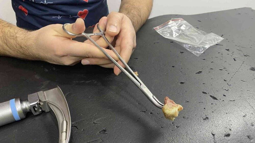 Soluk borusuna kemik takılan kedi ameliyat edildi