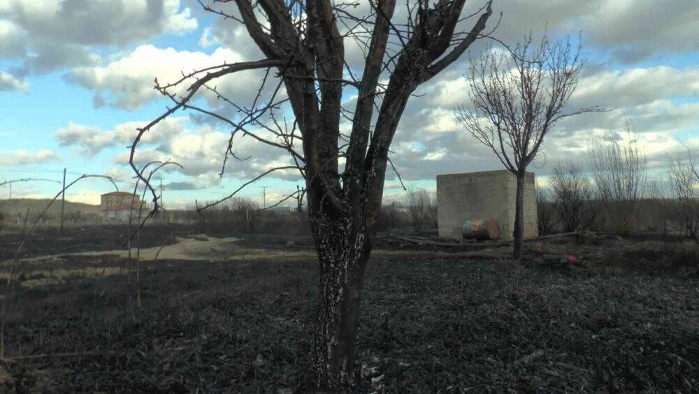 Isınmak için yaktı, 45 dekar alanı kül etti