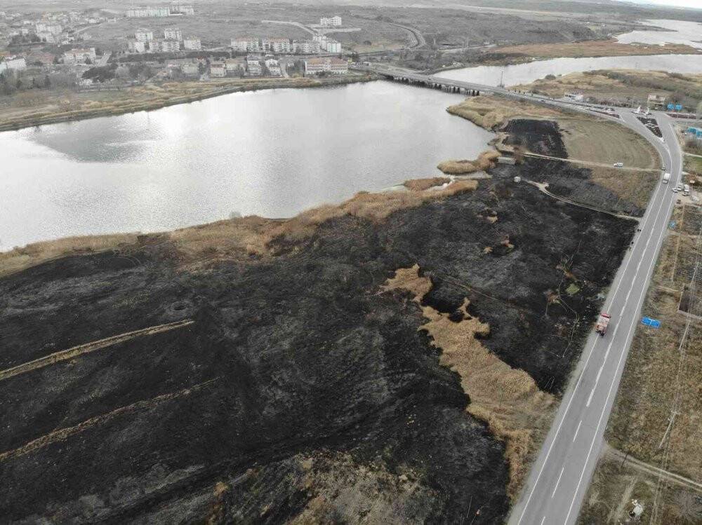 Isınmak için yaktı, 45 dekar alanı kül etti