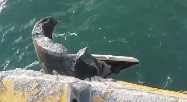 Amasra’ya gelen Rus Kruvaziyer limana  çarptı