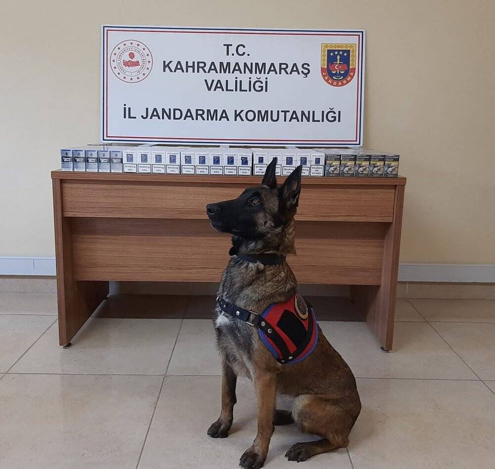 470 paket gümrük kaçağı sigara ele geçirildi