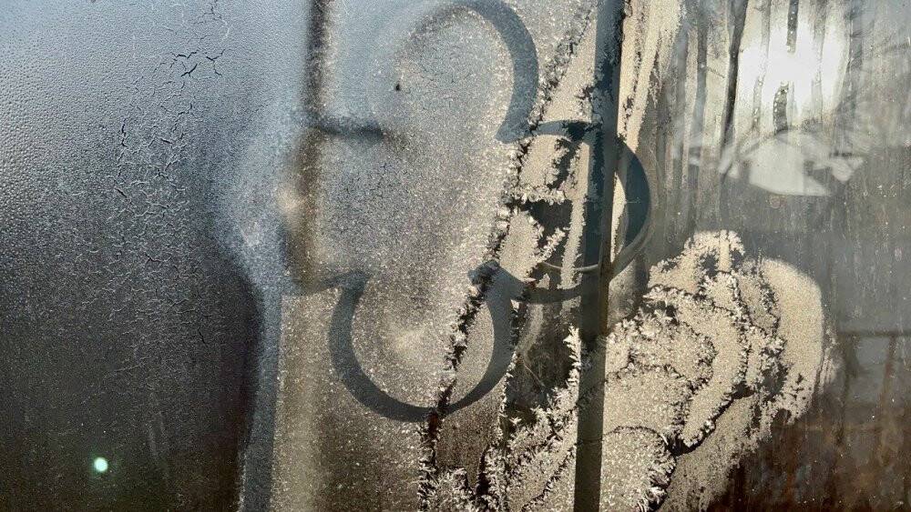 Ağrı'da don var, kar yok