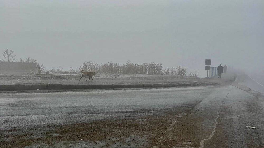 Ağrı'da don var, kar yok