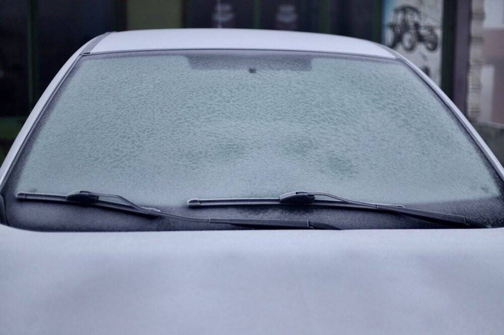 Ağrı'da don var, kar yok