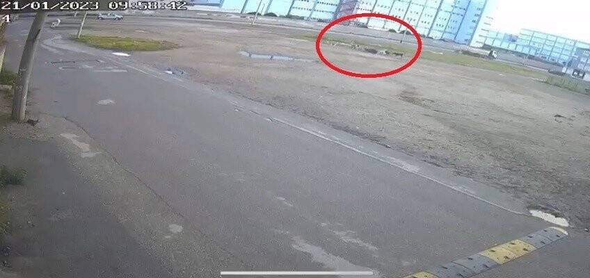 Bursa’da başıboş 10 köpek yaşlı kadına saldırdı