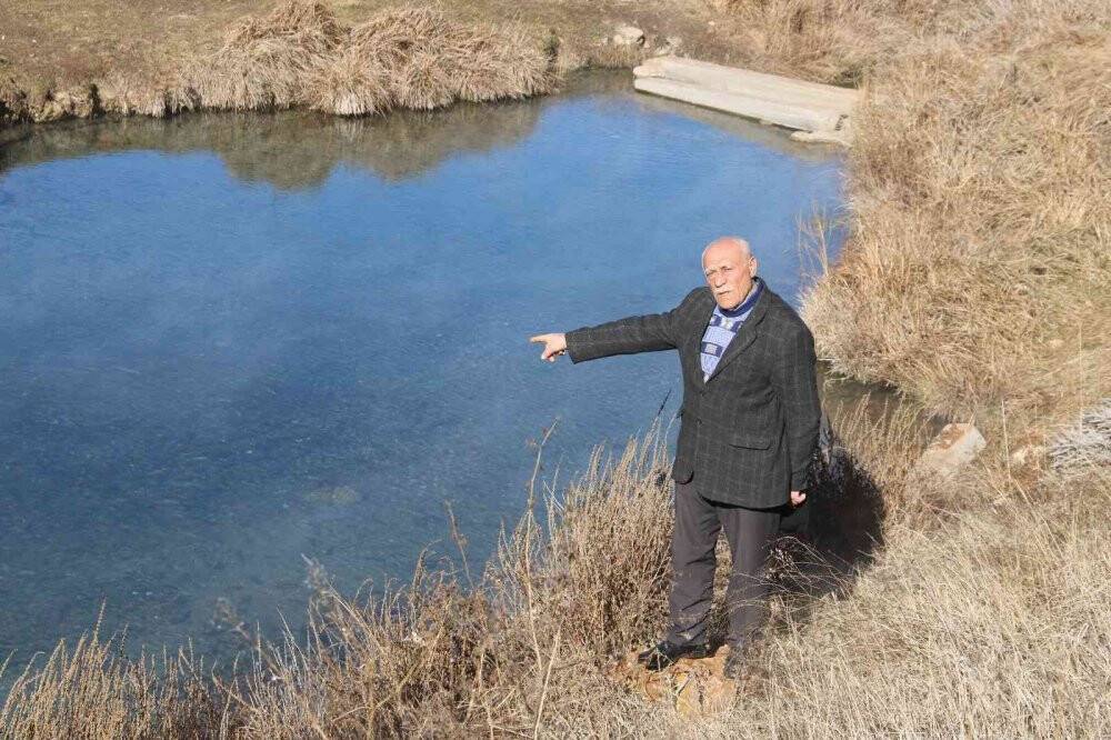 Doktor balıklar yok olma tehdidi altında