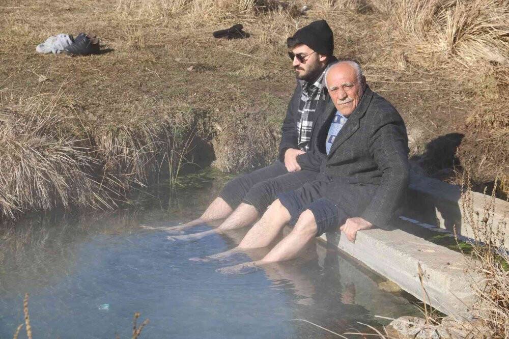 Doktor balıklar yok olma tehdidi altında