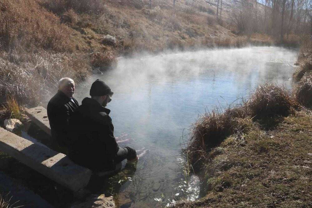 Doktor balıklar yok olma tehdidi altında