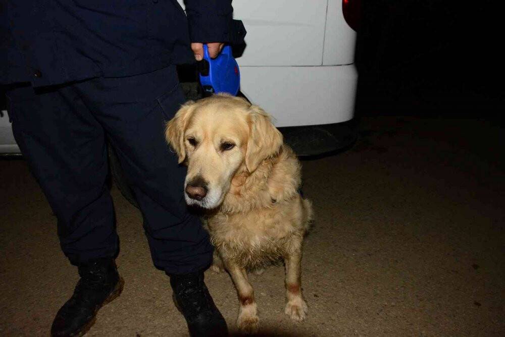 Gittiği fındıklıktan dönmeyince ekipler seferber oldu
