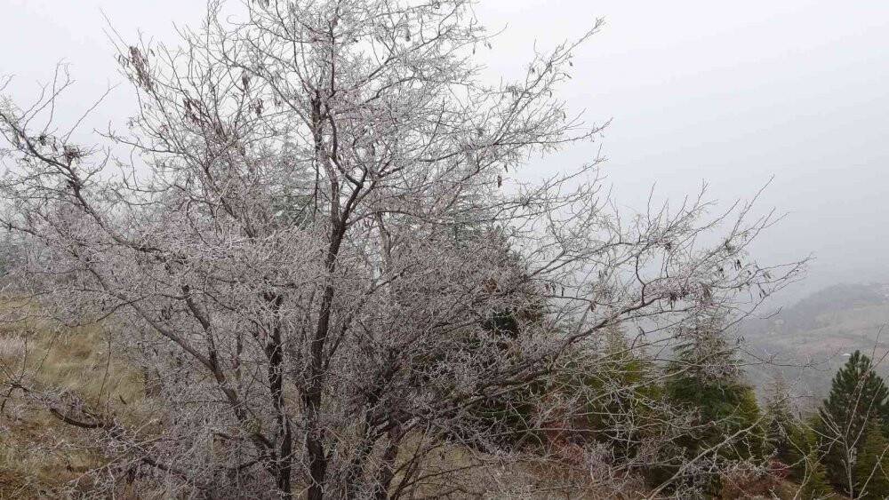 Malatya’da sis hakim