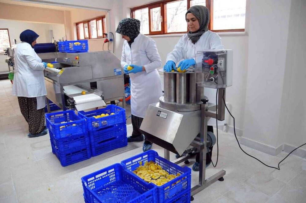 Akşehir Belediyesinden hanımlara meyve kurutma tesisi