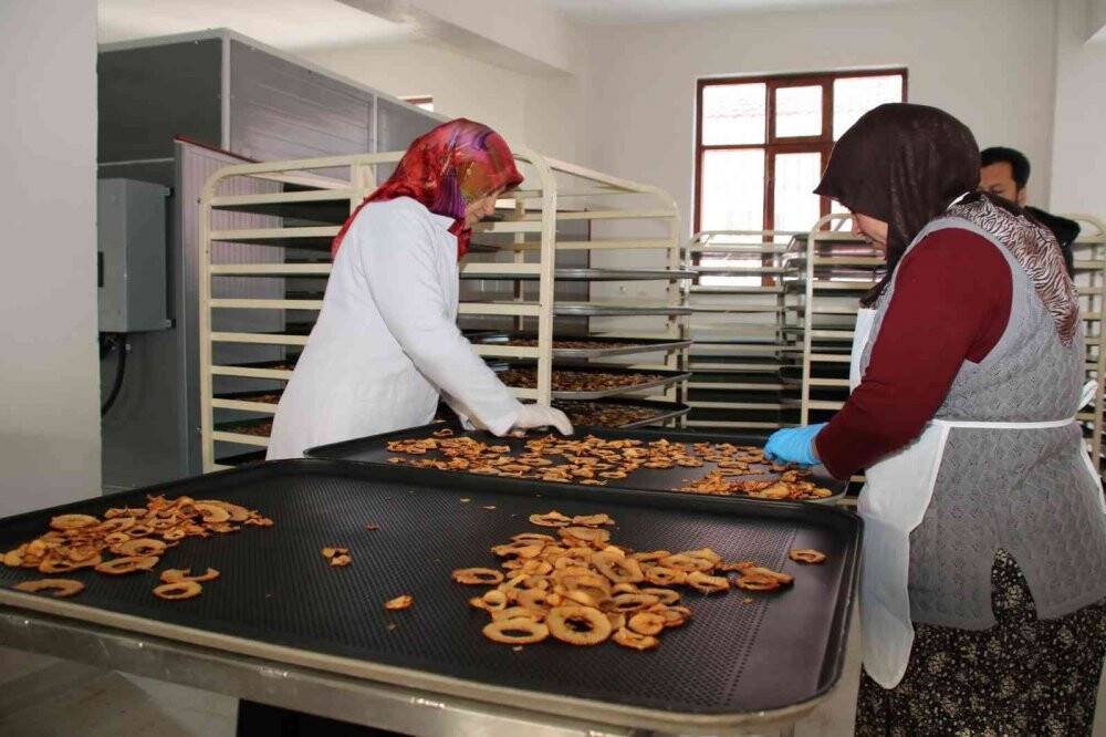 Akşehir Belediyesinden hanımlara meyve kurutma tesisi