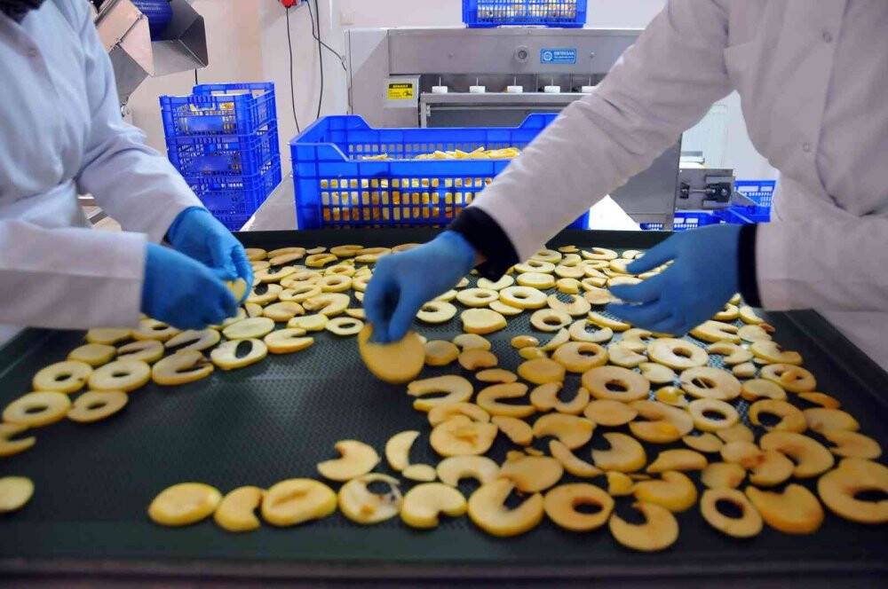 Akşehir Belediyesinden hanımlara meyve kurutma tesisi