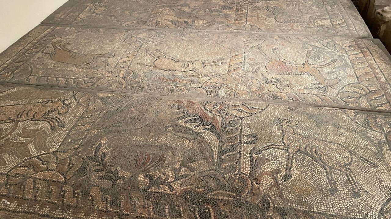 aa-20230129-30117588-30117583-anadolu-mozaigi-konyadaki-taban-mozaikleri-ozenle-korunuyor.jpg