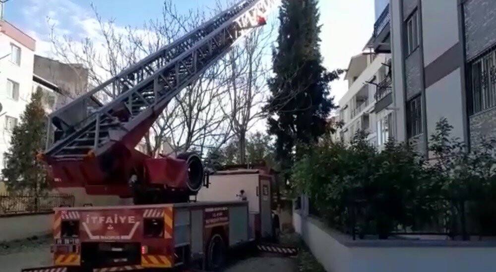 Ağaçta mahsur kalan kedinin imdadına itfaiye  yetişti