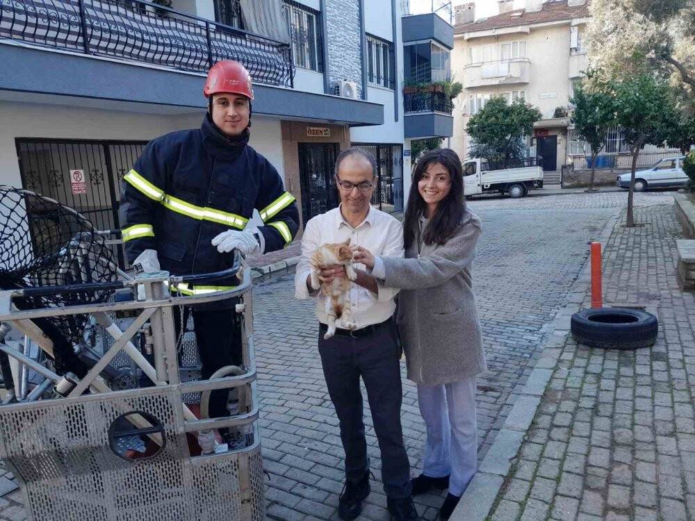 Ağaçta mahsur kalan kedinin imdadına itfaiye  yetişti